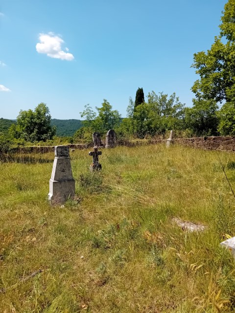 Među ruševinama nestalog sela Vrnjaka i kamenim spomenicima obraslim bršljanom